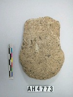 藏品(淺腰舌刃打製石斧)的圖片